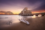 The Castle