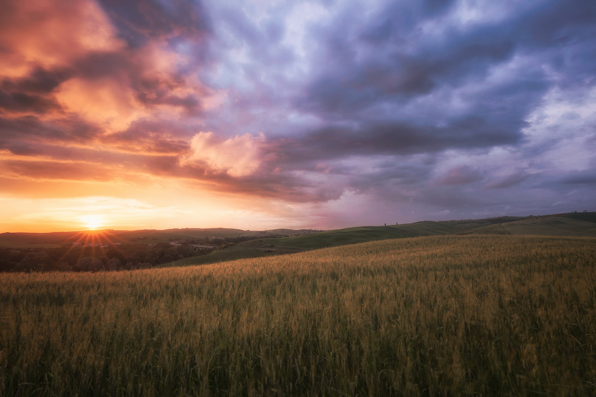 Golden Sunset