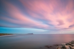 Pink Circeo