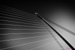 The Harp