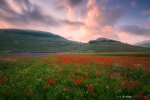 Sunset In Castelluccio