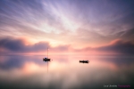 Misty Sunrise