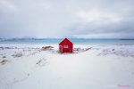 The Red House