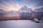 Pink Sunrise