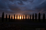 The Gathering (Sunset)