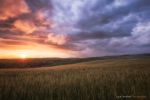 Golden Sunset