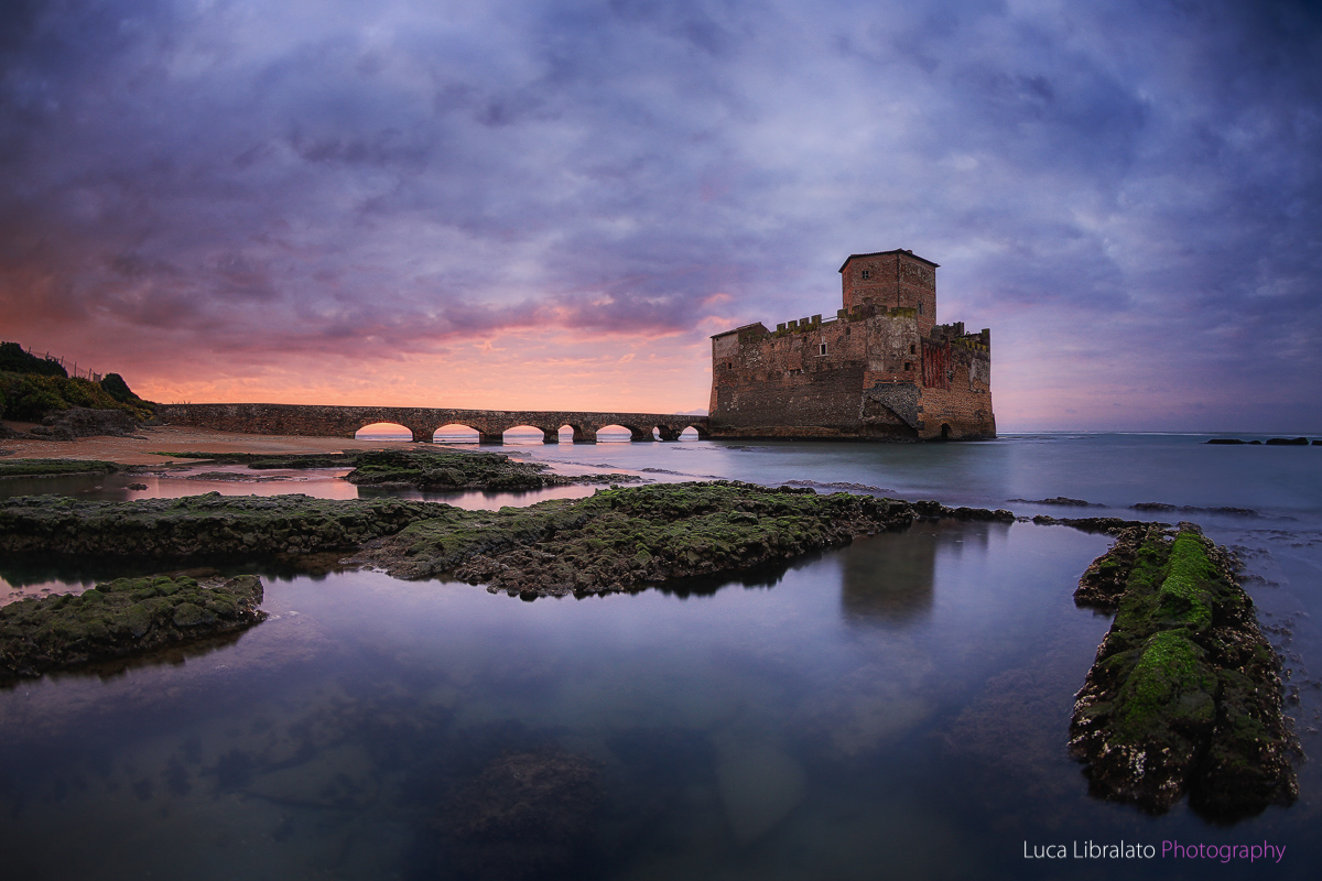 Purple Sunrise