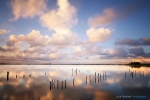 Natural Mirror