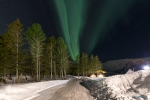 Skiing Under Northern Lights